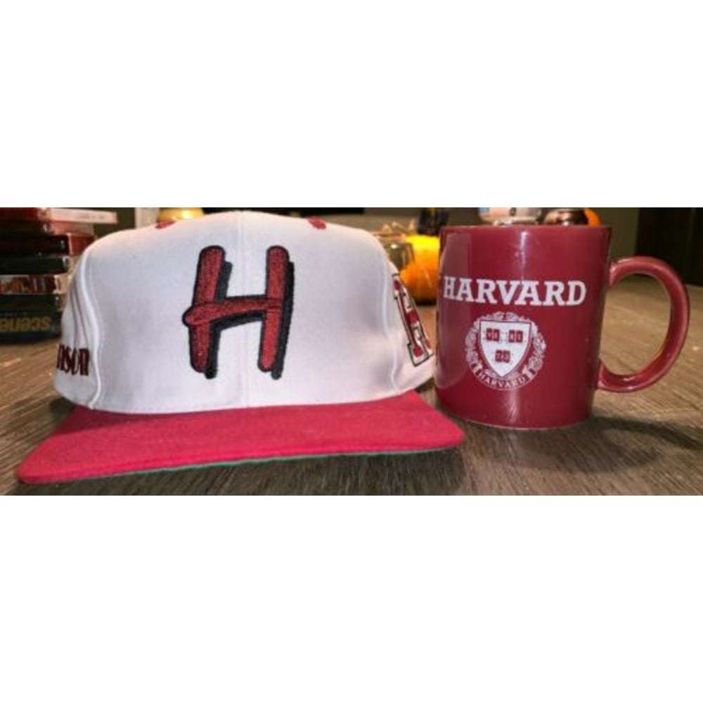 VTG H Painters Hat SnapBack